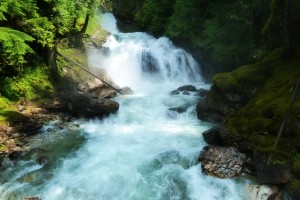 Beim Canyoning Einsteigerkurs stürzen Sie sich in tosende Fluten.